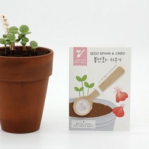 [모비딕컴퍼니] 꽃기르기 부추씨 방울토마토화분 어린이답례품 답례품 식물키우기세트 종자