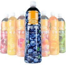 까르페데이 과일음료 베이스/대호 액상 1000ml, 블루베리