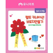 펠트 카네이션 브로치만들기 어버이날 스승의날 만들기패키지 가정의달 5월