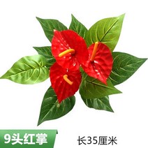 모조잔디 식물 벽 인조 잔디 베란다문 실내 인공 배경벽 이미지 녹화 잔디밭 밀실