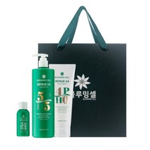 블루밍셀 블루밍셀 리페어5.5 샴푸 Set 샴푸500ml+트리트먼트200ml