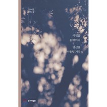 아침을 볼 때마다 당신을 떠올릴 거야, 한겨레출판, 조수경 저
