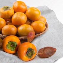 창원단감 부유단감 당도보장 5kg 10kg, 단감 5kg M과 (23-26과 내외)