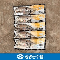 [영광군수협]법성포 영광 진공 굴비 세트 2.8kg(40미) / 700g*4팩, 4개