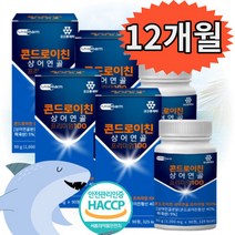 직장인 노인 부모님 50대 60대 70대 80대 관절 건강 미국산 상어연골 콘드로이친 프리미엄100 12개월 콘드로이친상어연골 프리미엄100 90정 x4