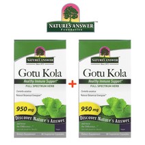 (1+1) 네이쳐스앤서 고투콜라 병풀 추출물 센텔라 아시아티카 475mg 비건 90 베지캡슐 2팩