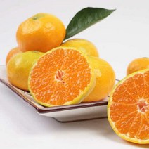 제주밀감 서귀포 타이백감귤 5kg 10kg, 10KG 로얄(S - M)