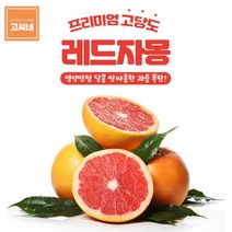 고씨네 프리미엄 자몽 3kg 골드자몽 레드자몽 자몽청자몽 자몽효능 자몽청 메로골드자몽 청자몽 자몽에이드 자몽차 자몽주스 자몽즙 레드자몽, 본상품, 본상품선택