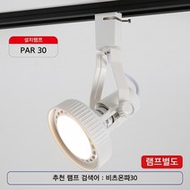 일신비츠온 PAR30 등기구 백색 레일용 2개묶음