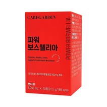 케어가든 파워 보스웰리아, 1개, 31.5g