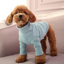 강아지목폴라니트 TOP100으로 보는 인기 제품