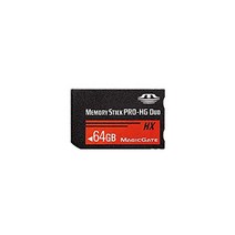 Sony PSP 고속 고용량을 위한 LICHIFIT 64GB 메모리 스틱 MS Pro Duo 메모리 카드 -11928, 32GB