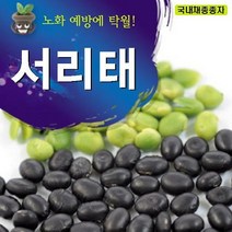 [가람종묘사] 서리태콩 씨앗(노화 예방에 탁월한 맛 좋은 재래종 검정콩)