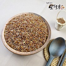 힘찬농부오달봉 2022년 국산 가바현미 금탑 가바쌀, 국산 가바현미 5kg