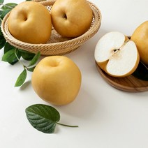 달찐과일 나주배 가정용 3kg (4-7과) 신고배 나주직송, 1