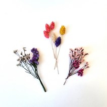 포장용 프리저브드/드라이 프리저브드 플라워 청첩장 답례품 선물 포장, 시네신스(핑크)_8g