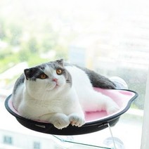 강력흡착 윈도우해먹 극세사 캣 해먹, 오렌지