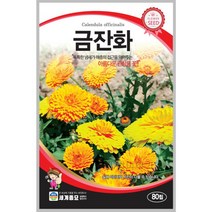 금잔화 80립 / 씨앗 종자 꽃씨 꽃밭만들기 화단만들기 조경가꾸기