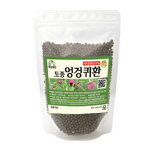 백장생 토종 엉겅퀴환, 300g, 4개