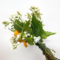 크리스마스행사 브로치DIY / 자석T핀 30개 / 브로치 T자 코사지핀