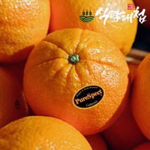 퓨어스펙 고당도 블랙라벨 오렌지 중과 10개 약2kg, 단품