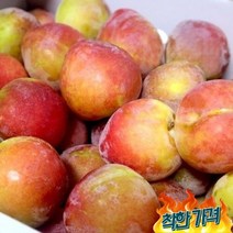 자두 5kg 김천 대석 후무사 피자두 추희 진맛깔