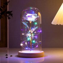 장미 무드등 발렌타인 화이트 로즈데이 홀로그램 LED 유리돔 집들이 어버이날 생일 선물, 홀로그램화이트