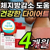 다트 체지방 분해 감소 고함량 가르니시아 나 HCA 단기간 살빼는 법