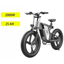 전기자전거 파나소닉 배터리 전면 및 후면 충격 흡수 등산 오프로드 166, 48v 2000w 25ah, 협력사