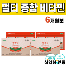 건강기능식품 멀티 종합 바이타민 추천 비타민 B1 C D 아연 판토텐산 복합 기능성 하루 1정 개별 포장 뼈 형성 건강 지용성 마그네슘 면역 기능 운동선수 직장인 수험생 스트레스, 2박스