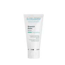 닥터슈라멕 블레미쉬 밤 스노우 40ml