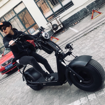 미니카 오토바이 빅스쿠터 웰리 쿼터급 럭셔리스쿠터 행사용 인스타그램 감성 묘기용, E, 60V