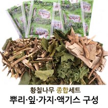 불로초황칠나라 황칠종합세트 황칠나무열매 황칠뿌리 황칠진액 황칠잎 황칠가지 황칠차, 1세트, 종합세트