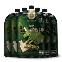 국산 국내산 / 생 고추냉이 잎 1kg 싱싱한 알싸한 맛 와사비잎 특수 야채 채소 쌈채소 톡소는 맛 건강에 좋은 나물, 500g