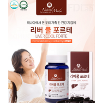 캐나다 리버쿨 포르테 간에좋은식품 간 보호제 피로제 밀크씨슬 추출물 비타민5종 건강 영양제, 리버쿨 포르테 2병
