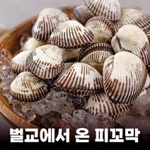 순천만수산 여자만 피꼬막 2kg(특품), 1개