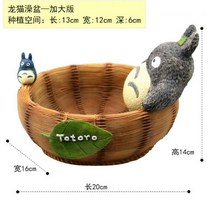토토로화분 다육이 인테리어 화분 캐릭터 화분, 이웃집 토토로 욕조 플러스 버전 097작은