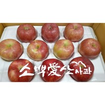 [소백애산사과] 3미사과(3가지맛 부사 시나노스위트 홍로) 소백사과영농[3kg 11~13개][5kg 17~20개], 3kg 11~13개