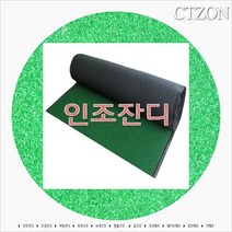시티존 인조잔디.조경잔디.퍼팅잔디, 인조잔디 6mm (1m x 1m)