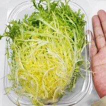 야채24닷컴 프리세 100g, 1개