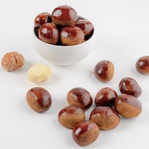 밤이면밤마다 청양아람농장 2022 유기농 햇밤 옥광밤 2kg 4kg 특 대 중, 유기농밤 4kg(특), 1개