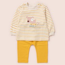 압소바 [압소바]AY513005 풀티상하(노랑)