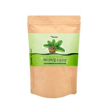 에너데이 바나바잎추출분말50g 인도네시아산 코로솔산 엘라그산 식이섬유 간편분말 엄격검수통과, 1개, 50g