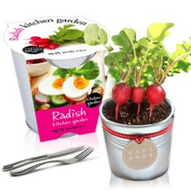 [천삼백케이] [농업회사법인 세경팜 주식회사] 세경팜 양철키친가든 레디쉬 식물키우기 텃밭가꾸기, 샐러리