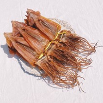 (중)쫄쫄이오징어 20미 경상남도특산품 남해안 배오징어 한축, 20마리 1.3kg