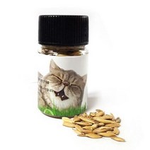 고양이 캣 그라스 헤어볼 배출 보리 씨앗 20g 보리씨앗 20g, 20개