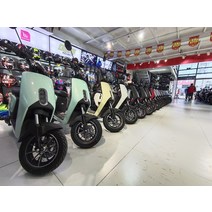 신대주 혼다 S07 신국표 리튬전기차 도심형 패션 전기자전거 출시, 01. 48V, 01. 24Ah, 06. 강화판 120km 색상 비고