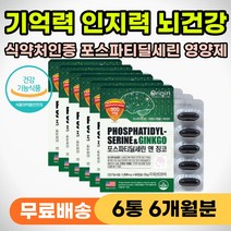 노인 인지력 기억력 저하 감퇴 피에스 PS 두뇌 영양제 부모님 노인 어르신 건강 선물 인지능력 떨어질때 예방 개선 뇌건강 개선제 뇌영양제 뇌에좋은 두뇌엔 포스타딜세린 포스파티세린