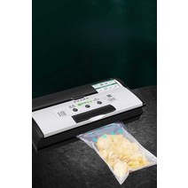 진공포장기 가정용 수비드 진공기 포장 업소용, B