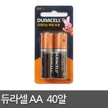 듀라셀 건전지 AA 알카라인 2입 카드형, 2개입, 20개
